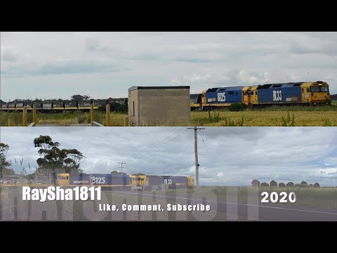 7731V - BL33-8125 (Grain) Bannockburn - Australian Trains by Raysha1811
