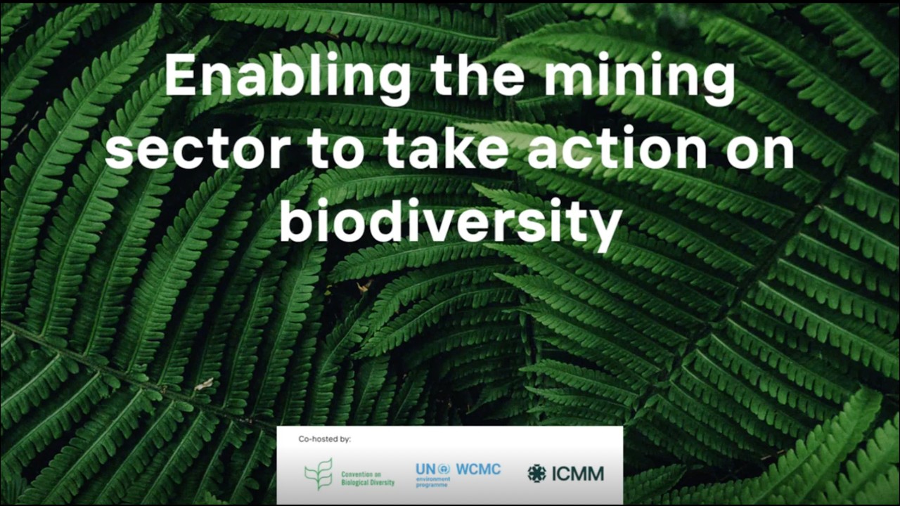 Enabling the mining sector to take action on biodiversity