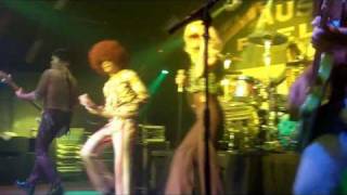 The Shagadelics - A Funky 70s Disco Tribute Cover Band From Chicago