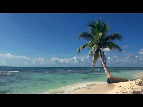 video playa corto mp4