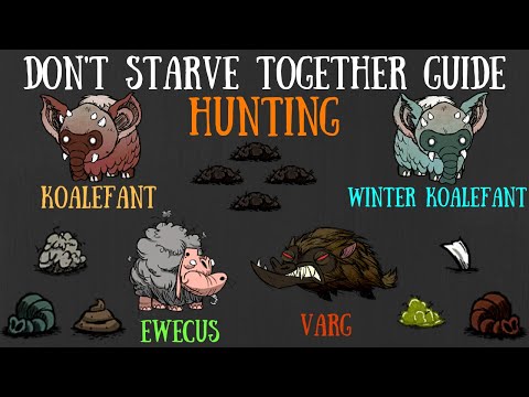 Don't Starve Together Guide: Hunting Koalefants, Vargs, Ewecus'... Oh My!