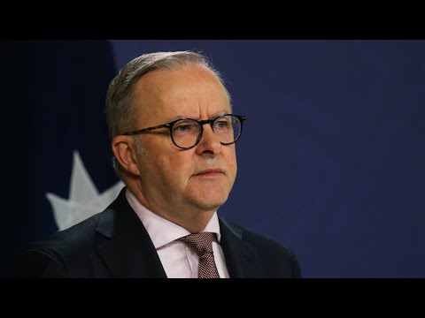 ‘Overthought damage control’: Albanese’s New Year’s message was ‘lacklustre’