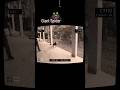 Scariest Things Caught On Camera Giant Spider Shorts Giant Scary