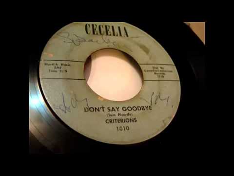 The Criterions - Don't Say Goodbye 45 rpm!