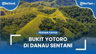 Bukit Yotoro di Kawasan Danau Sentani yang Menarik untuk Dikunjungi, Ada Savana yang Luas
