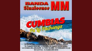 La Cosecha De Mujeres Lyrics English Translation