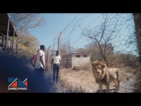 Out in the wild – My Top Five| S1 | Ep12 | Zambezi Magic