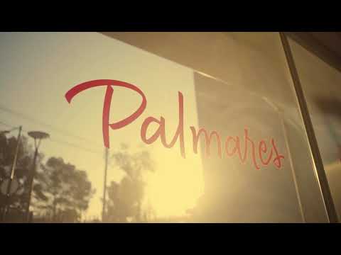 Brillemos más que antes. Palmares