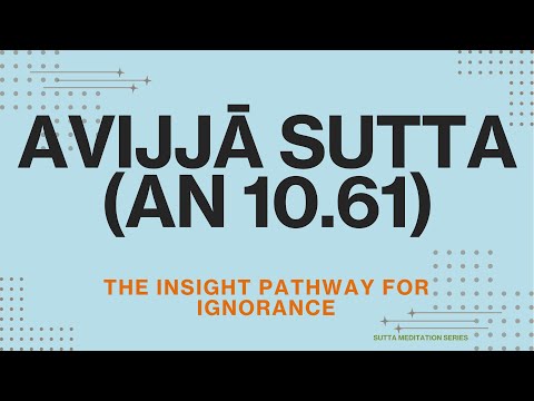 The Insight Pathway for Ignorance - PART 1 (Arising)