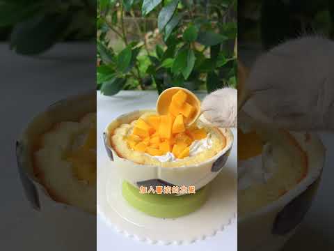 2 catcook 🤩🤩🤩#shorts