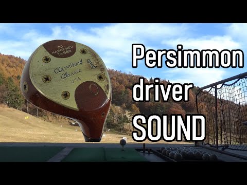 Persimmon driver & Old golf ball Hitting Sound