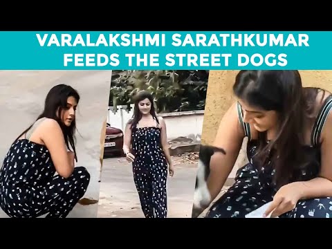 Varalakshmi Sarathkumar  helps Street Dogs