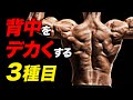 【筋トレ】背中を効率よく大きくする3種目の紹介 | 現役ボディビルダーが解説【ビーレジェンド プロテイン】