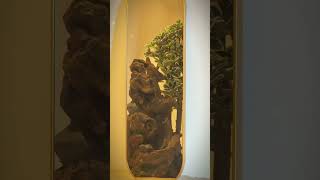 شلال ديكور بتصميم مستوحى من جذع الشجر مع إضاءة LED