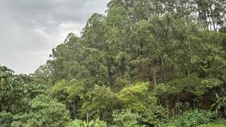 O Melhor Barulho de Chuva  - Durma com tranquilidade