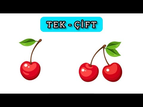 TEK - ÇİFT KAVRAMI / KAVRAMLAR / KAVRAM ÖĞRETİMİ