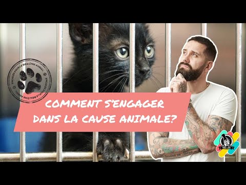 Comment S'ENGAGER dans la CAUSE ANIMALE ?!