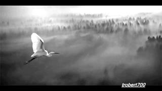 Brian Culbertson-Sonic Dreams.