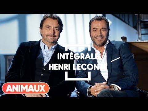 Henri Leconte est dans Animaux Stars - Animaux