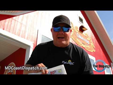 Md Coastal Dispatch