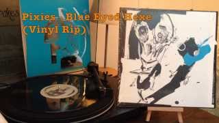 Pixies - Blue Eyed Hexe (Vinyl Rip)