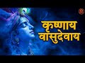KRISHANAYA VASUDEVAYA 108 Times POWERFUL KRISHNA MANTRA For Inner PEACE And STRENGTH