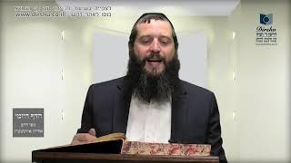 הדף היומי מסכת ביצה דף לה