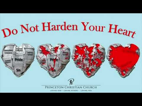 NOVÉ SRDCE - Ako si nechať zmakčiť a uzdraviť  ❤️ Mary Dwyn Sumbalová, Streda v Martindome  3.4.2024