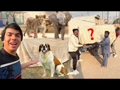 India Sy Aya Big Surprise 😍