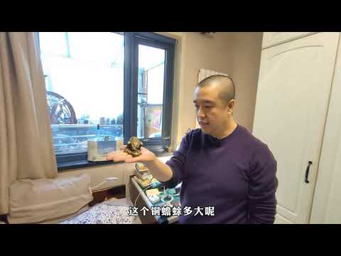 銅蟾蜍
