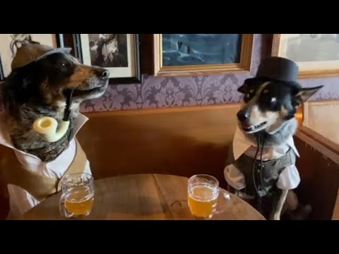 Sherlock Bones Reimagined - For mature audiences only - thank you!