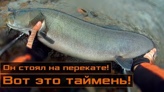 Снасти для ловли тайменей