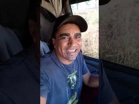 achei o pai e o tio do meu caminhão😄Portelândia go