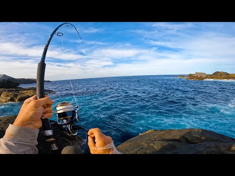 3 Days of BIG FISH MAYHEM!