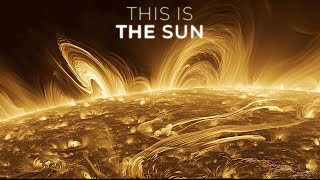 What NASA Discovered In The Sun?
