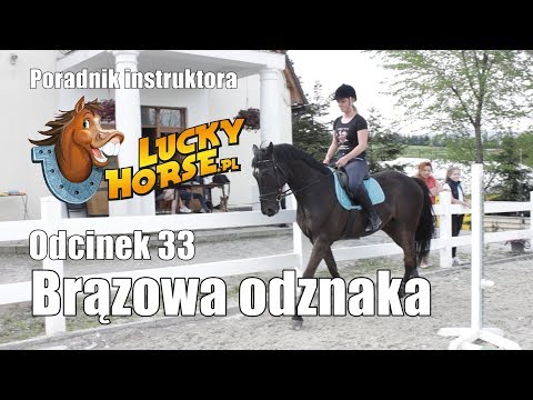 Porady LuckyHorse pl - Odc33 - Egzamin na brązową odznakę