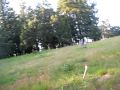 Ghost Hunters At Laffete Cemetery HAUNTED Or NOT YOU DECIDE