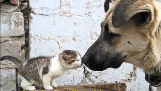 Bobby Vee - One Last Kiss