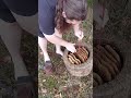 Barefoot Skep Beekeeping Barefoot Skepbeekeeping
