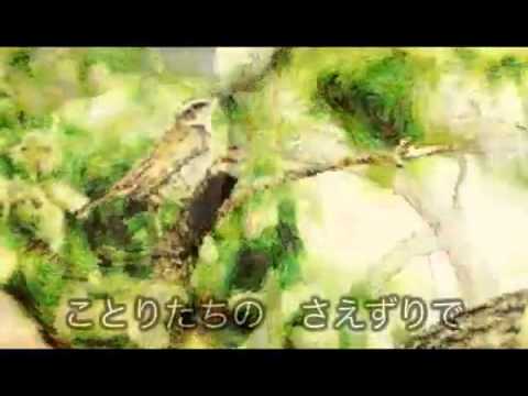 youtube:boJqOc6Hgdk