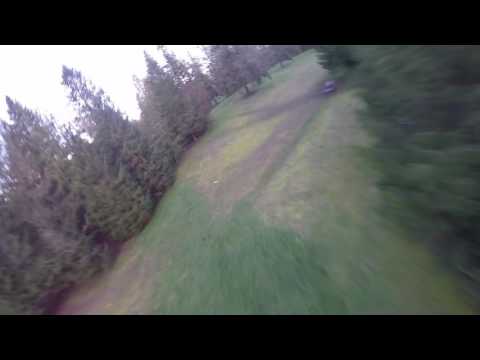 Chasing Plastic and SayYa Having Fun