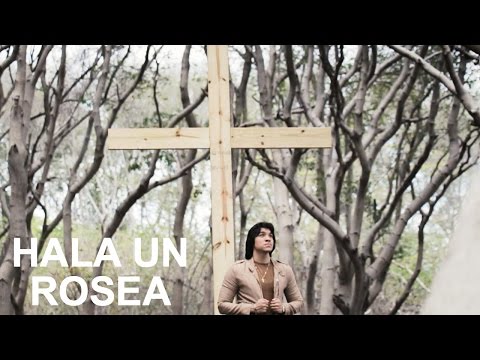 Shamiro Anita - HALA UN ROSEA (Official Music Video)