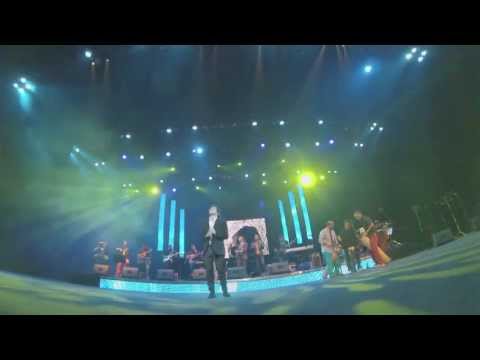 Los Mesoneros versión Rock & MAU