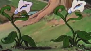 Lunatic, Lunatic, Lunatic - Margot and the Nuclear So and So&#39;s (Unofficial Music Video)