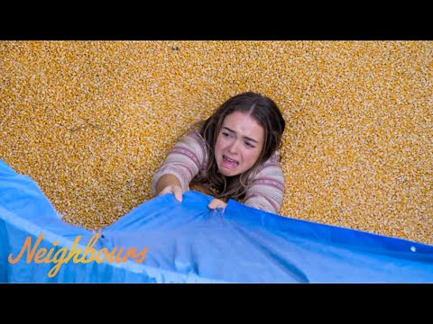 Holly's Silo Terror | Outback Week | Neighbours
