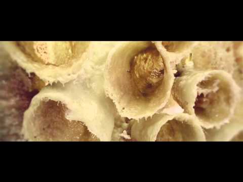 ABSOLUT KAPOOR - An installation by Indian artist Anish Kapoor in collaboration with Absolut.