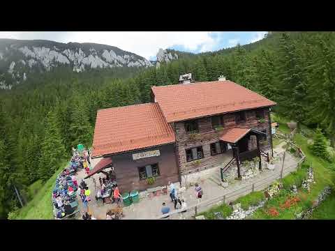 Conquering the Carpathians: Hiking to Cabana Curmatura, Brasov