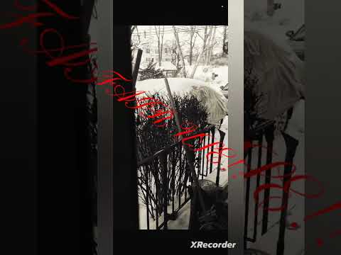 Just a "show" ? Hallway run? What the? 