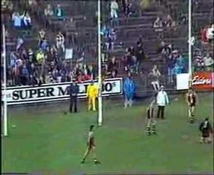 VFL Football R11 1988 - Footscray v St.Kilda