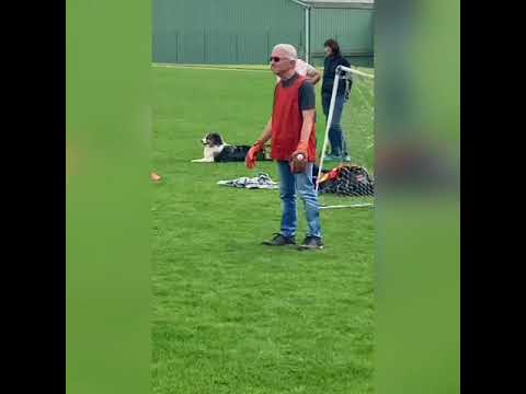Présentation du Lamballe FC